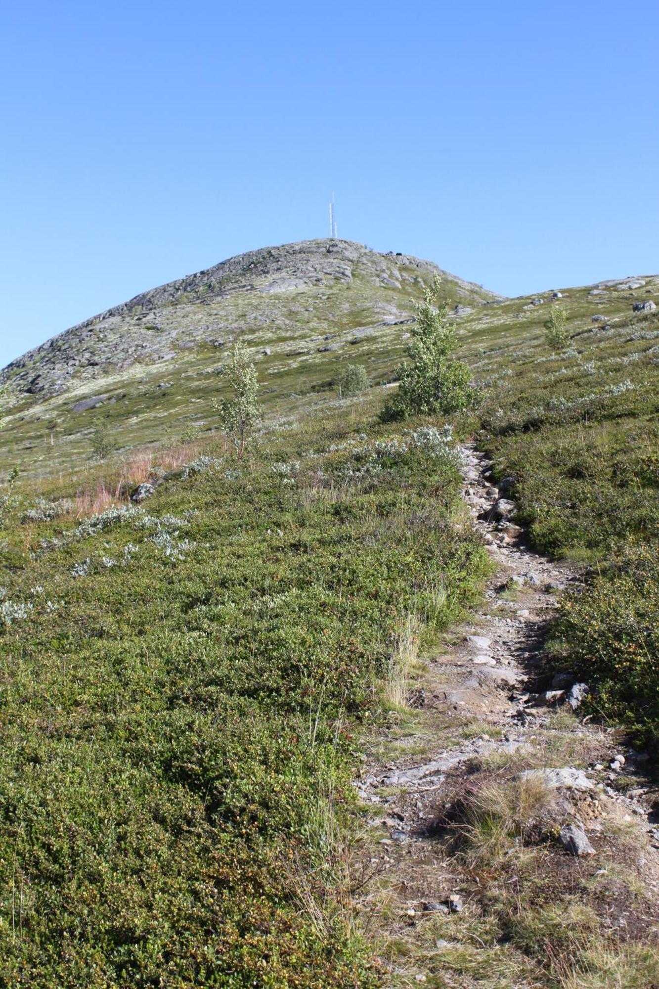 Вилла Jotunheimen Feriesenter Хейдал Экстерьер фото